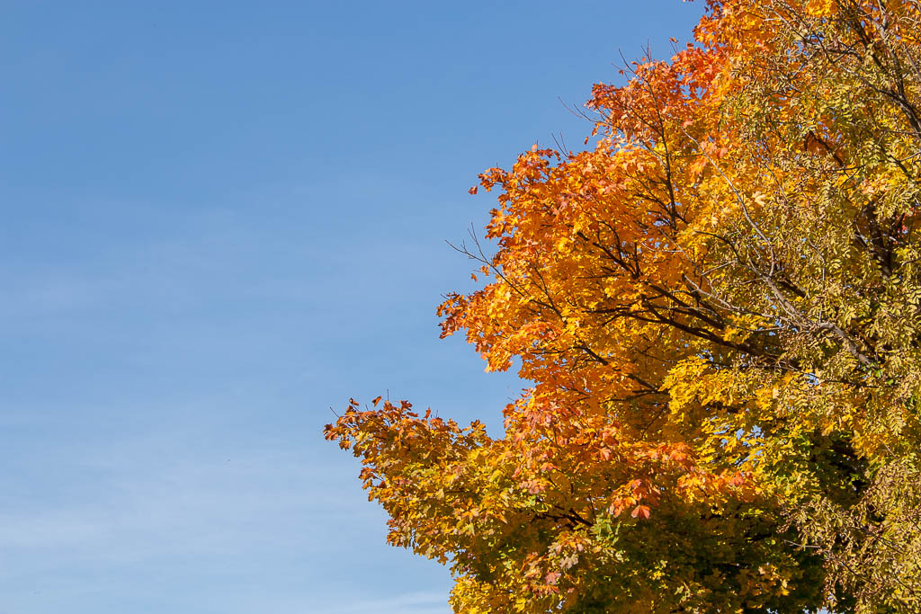 Herbstferien