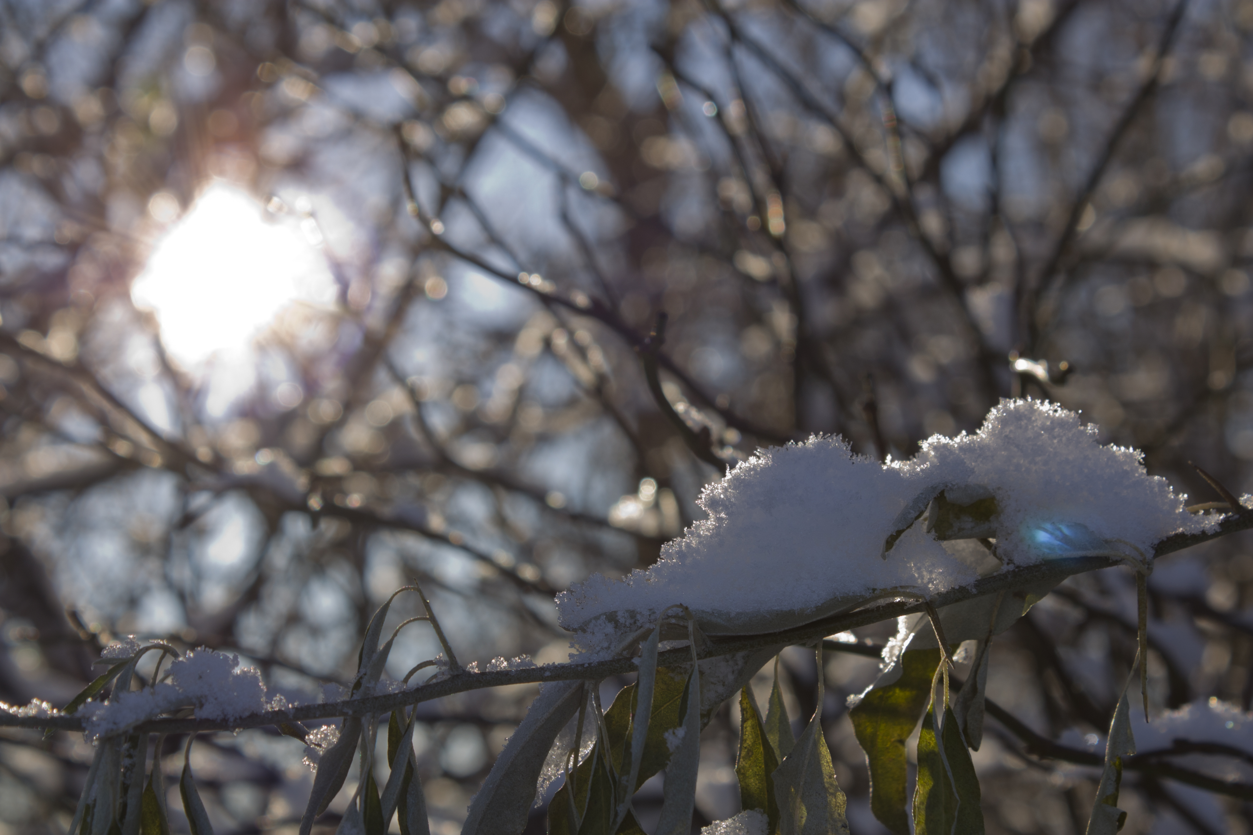Winterferien